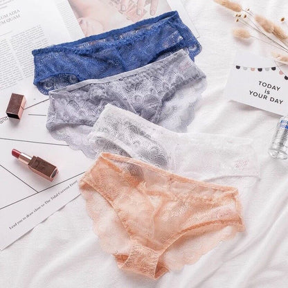 Sexy Sheer Lace Bikini Brief Undies Pack (of 4)
