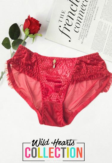 Female Perspective Luxurious Pendent Maroon Lace Brief